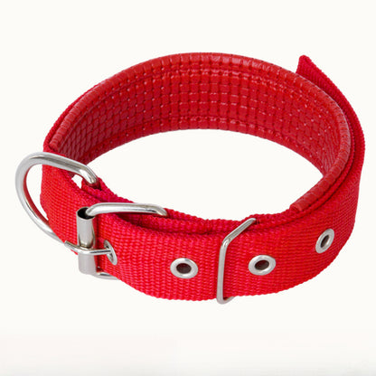 6fe7c023-9581-4625-b989-0691d0f47e89