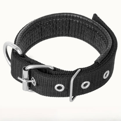 edc6db9a-0c43-469f-a7e3-f54d06b4b7cd